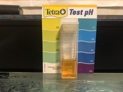 pH測定1週目 5.0
