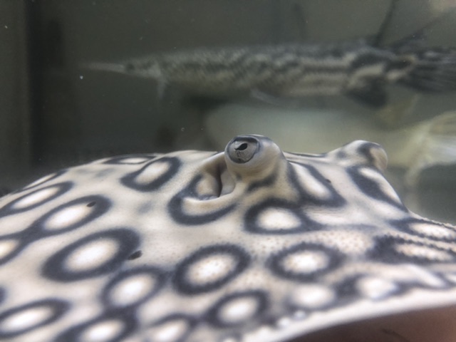 8361D070-E2C6-4E30-A1BC-DE43C42A2B9B