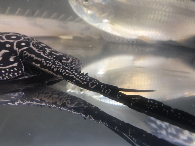 CAD191D2-859D-49CB-8A75-72E986FA9E7E