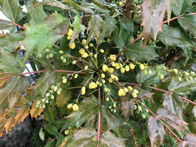 4533D4A7-B331-4633-A365-808EEBC81016