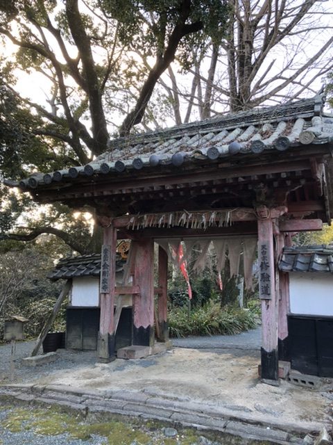 583EF672-40E4-49A6-A872-0213C41B6181