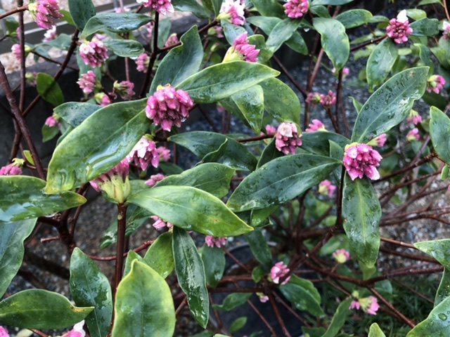 77BCA744-5D07-4707-8DA2-55625FFCD3A5