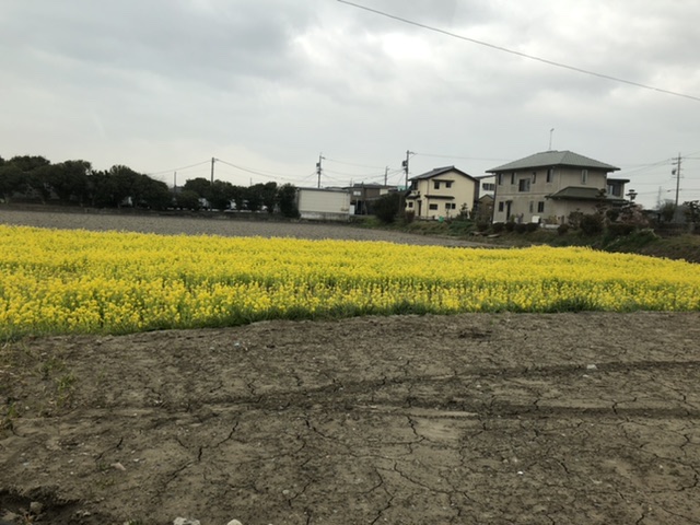 E29C6259-FC19-43D9-B03A-AFB0BF8349F6