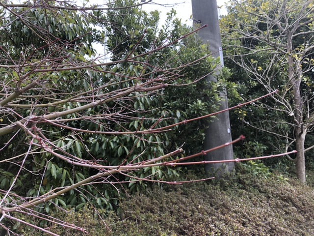 A8B8A080-4872-4F93-89BD-95BDB82E2EA5