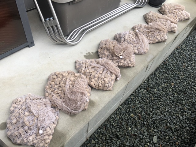 ろ材の掃除もやりました