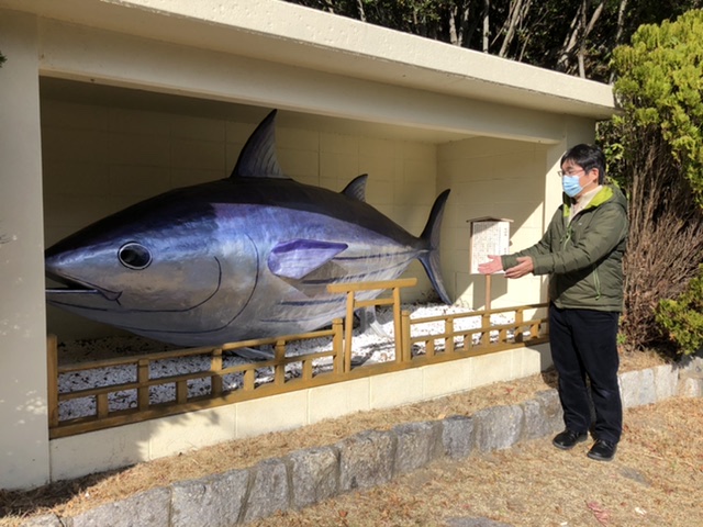 カツオ神輿2代目