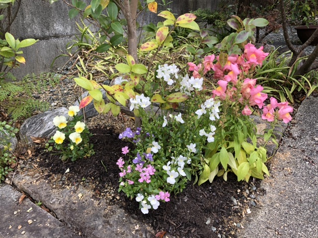 子どもの好きなパステルカラーのお花たち